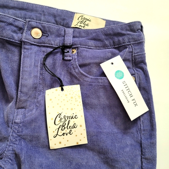 NWT Cosmic Blue Love Stitch Fix Corduroy Skinny Pants - Purple - 25P (Petite) - Picture 3 of 7